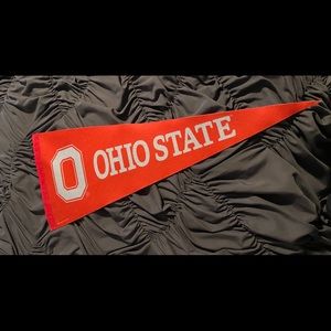 The Ohio State University triangle pennant